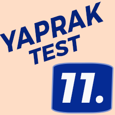11. Sınıf Yaprak Test